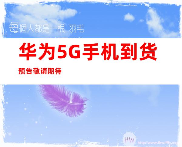 传承红色血脉，筑牢Weilink长城